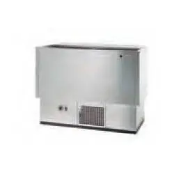 Enfriador de Botellas de 2 Puertas, Fondo Plano, Brazos Rectos BEG-100-I. Coreco