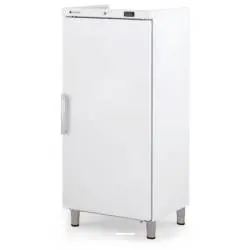 Armario Refrigeración Interior Plástico de 1 Puerta RVGE-601. Coreco