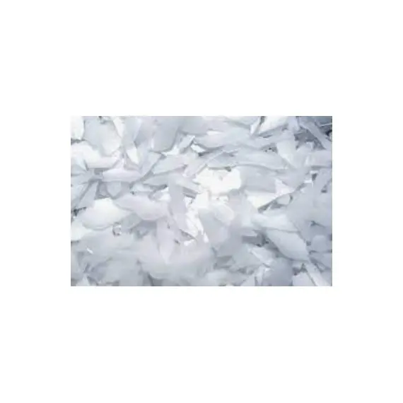 Fabricador Hielo Escamas Sin Almacén MUSTER 600. Romagsa