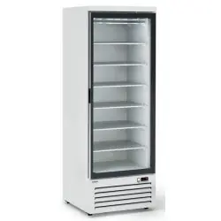 Armario Expositor Congelados 450 Litros Frío Estático. CVL070PVS