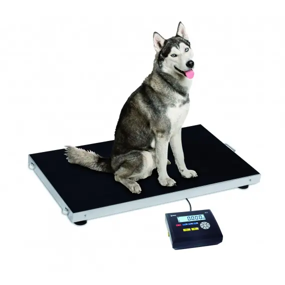 Báscula Industrial Veterinaria Pluto con Indicador K3