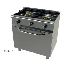 Cocina A Gas de 2 Fuegos con Horno. 6201/1