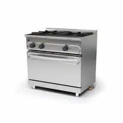 Cocina a gas 2 Fuegos con Horno
