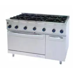 Cocina a gas 6 Fuegos con Horno