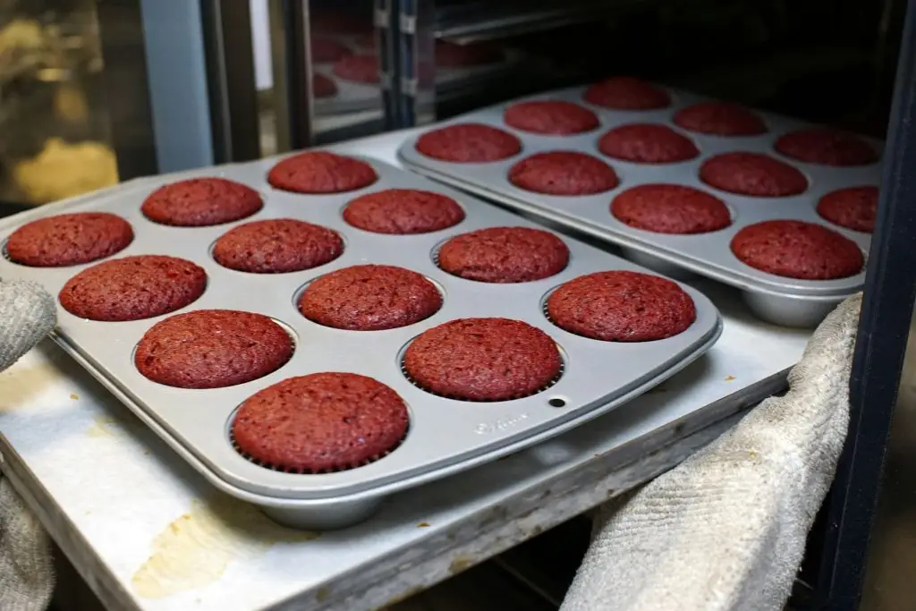 horno conveccion que es